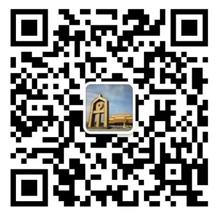 图片29