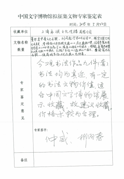 专家意见1