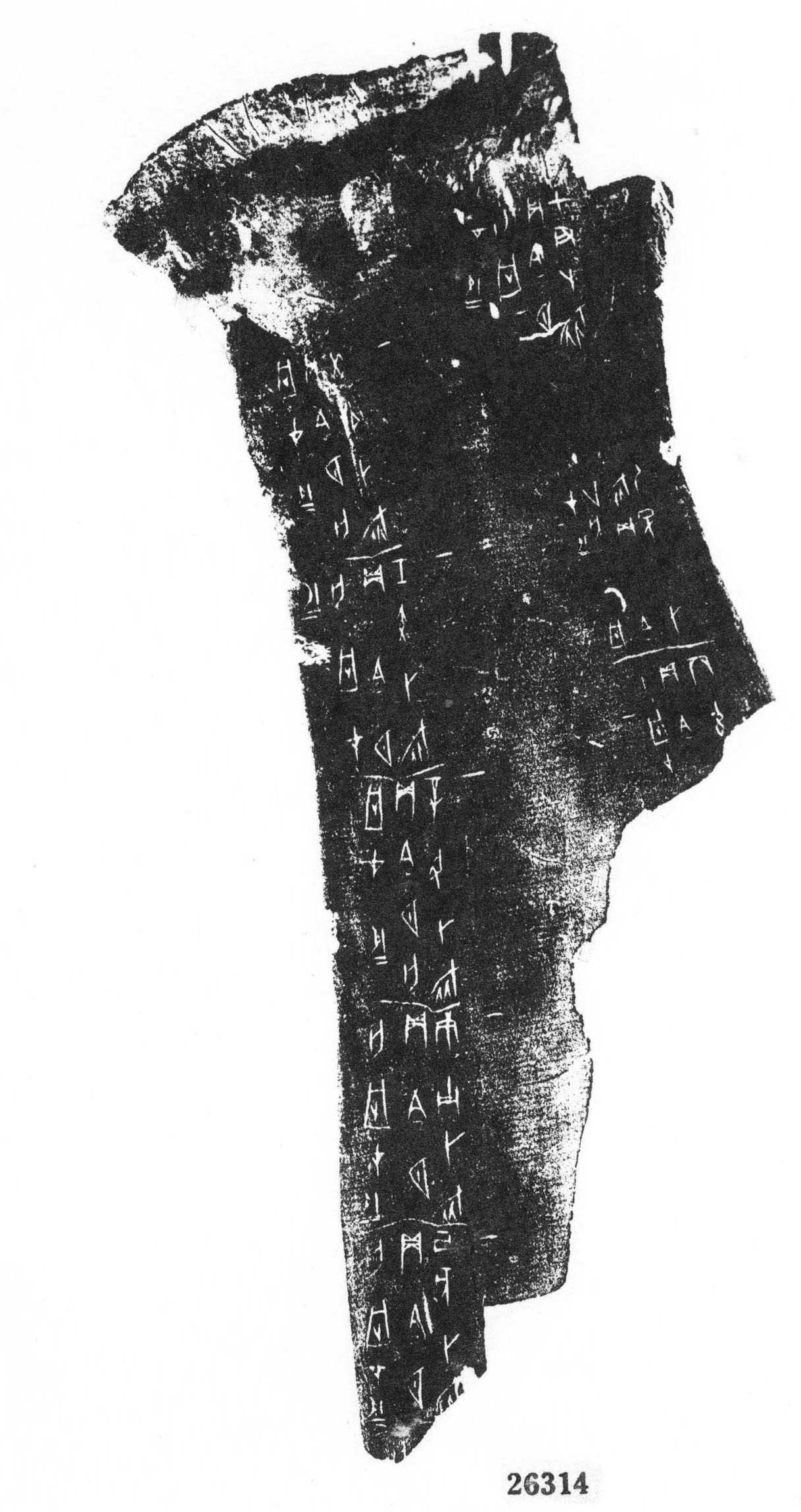 合26314