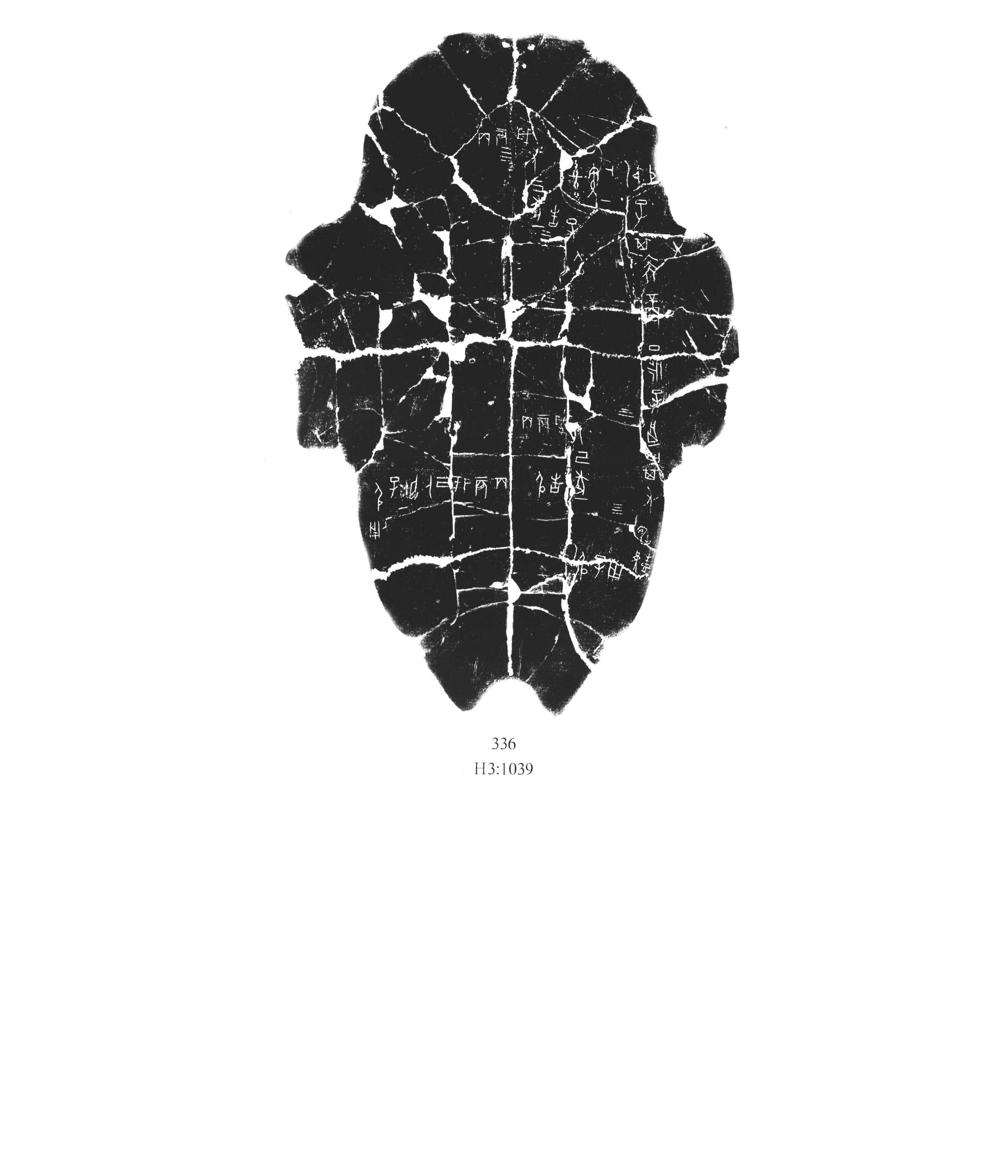 花东336